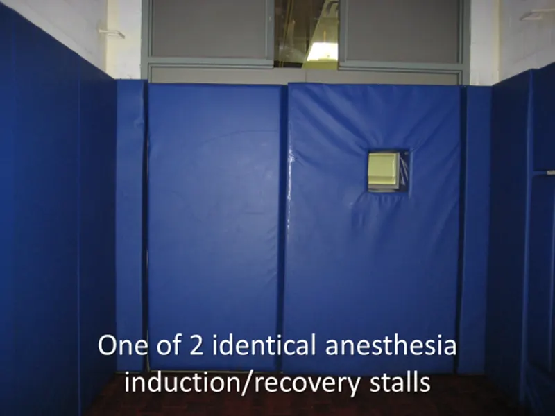 One of 2 identical anesthesia industion/recovery stalls